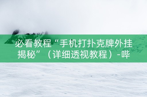 必看教程“手机打扑克牌外挂揭秘”（详细透视教程）-哔哩哔哩