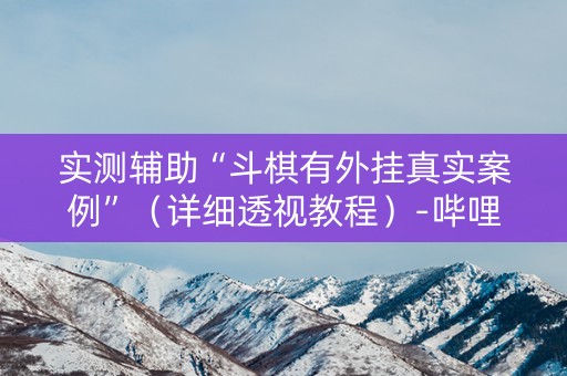 实测辅助“斗棋有外挂真实案例”（详细透视教程）-哔哩哔哩