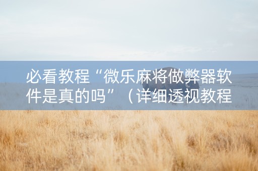 必看教程“微乐麻将做弊器软件是真的吗”（详细透视教程）-哔哩哔哩