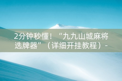 2分钟秒懂！“九九山城麻将选牌器”（详细开挂教程）-哔哩哔哩