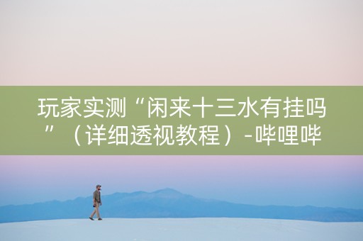 玩家实测“闲来十三水有挂吗”（详细透视教程）-哔哩哔哩