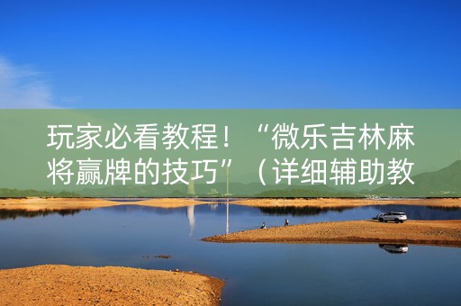 玩家必看教程！“微乐吉林麻将赢牌的技巧”（详细辅助教程）-哔哩哔哩
