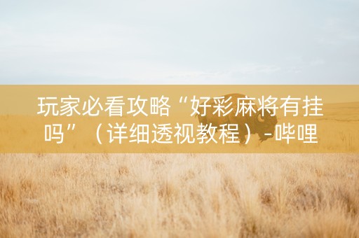 玩家必看攻略“好彩麻将有挂吗”（详细透视教程）-哔哩哔哩