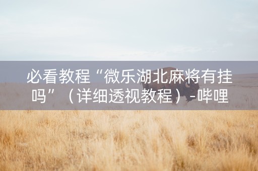 必看教程“微乐湖北麻将有挂吗”（详细透视教程）-哔哩哔哩