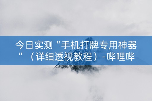 今日实测“手机打牌专用神器”（详细透视教程）-哔哩哔哩