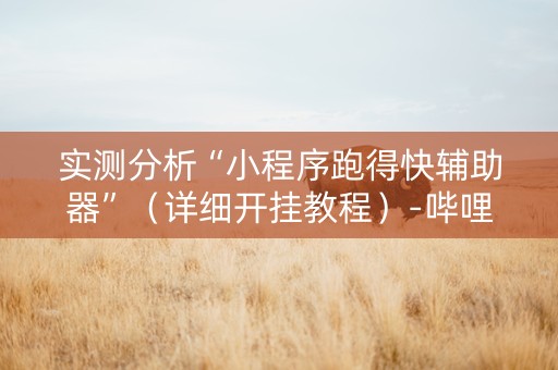 实测分析“小程序跑得快辅助器”（详细开挂教程）-哔哩哔哩