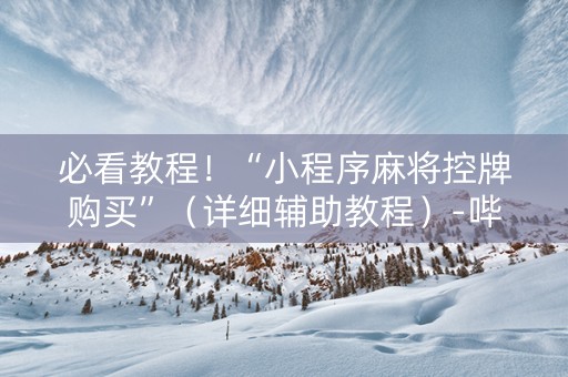 必看教程！“小程序麻将控牌购买”（详细辅助教程）-哔哩哔哩