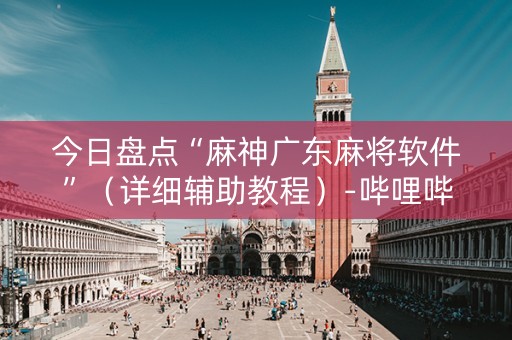 今日盘点“麻神广东麻将软件”（详细辅助教程）-哔哩哔哩