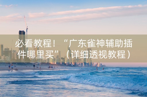 必看教程！“广东雀神辅助插件哪里买”（详细透视教程）-哔哩哔哩