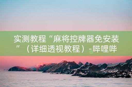 实测教程“麻将控牌器免安装”（详细透视教程）-哔哩哔哩