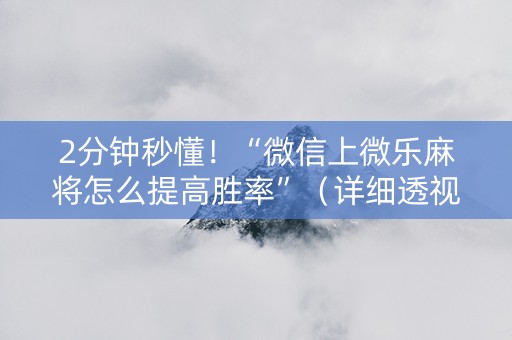 2分钟秒懂！“微信上微乐麻将怎么提高胜率”（详细透视教程）-哔哩哔哩