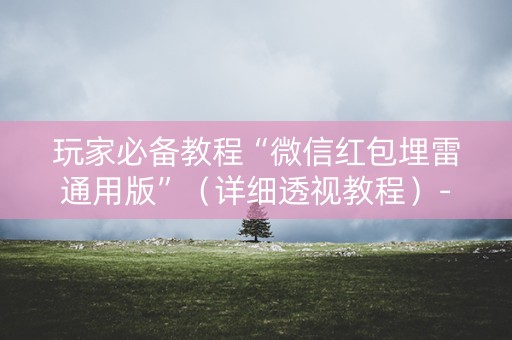 玩家必备教程“微信红包埋雷通用版”（详细透视教程）-哔哩哔哩