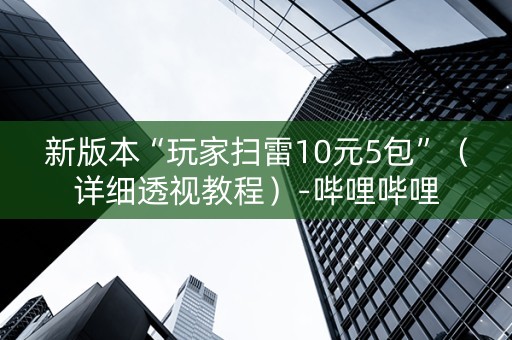 新版本“玩家扫雷10元5包”（详细透视教程）-哔哩哔哩