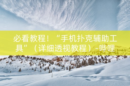 必看教程！“手机扑克辅助工具”（详细透视教程）-哔哩哔哩