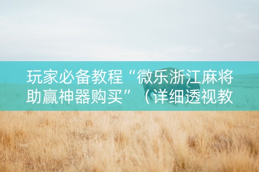 玩家必备教程“微乐浙江麻将助赢神器购买”（详细透视教程）-哔哩哔哩