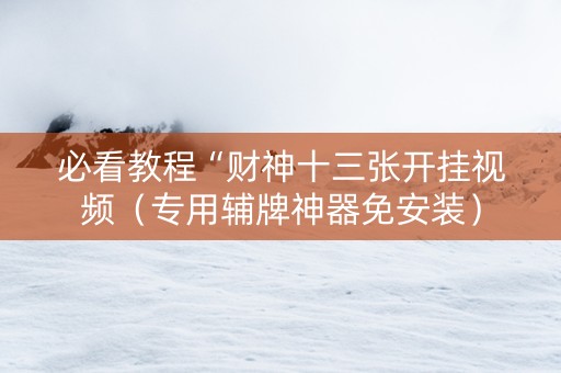必看教程“财神十三张开挂视频（专用辅牌神器免安装）