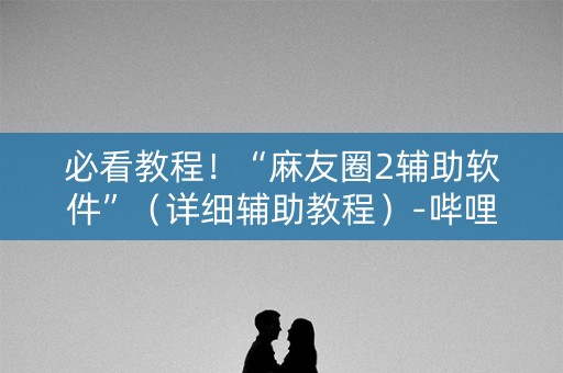 必看教程！“麻友圈2辅助软件”（详细辅助教程）-哔哩哔哩