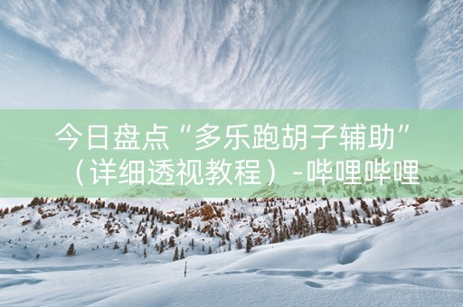 今日盘点“多乐跑胡子辅助”（详细透视教程）-哔哩哔哩