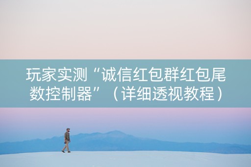 玩家实测“诚信红包群红包尾数控制器”（详细透视教程）-哔哩哔哩