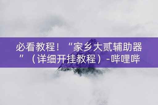 必看教程！“家乡大贰辅助器”（详细开挂教程）-哔哩哔哩