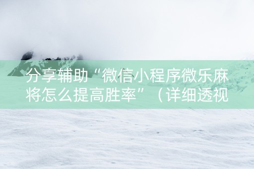 分享辅助“微信小程序微乐麻将怎么提高胜率”（详细透视教程）-哔哩哔哩