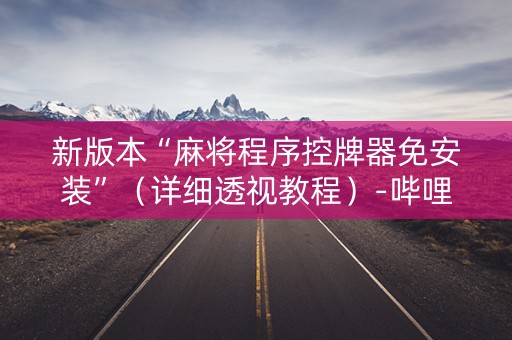 新版本“麻将程序控牌器免安装”（详细透视教程）-哔哩哔哩