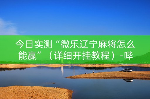 今日实测“微乐辽宁麻将怎么能赢”（详细开挂教程）-哔哩哔哩