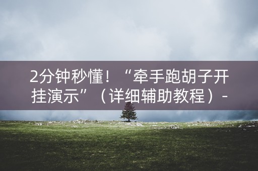 2分钟秒懂！“牵手跑胡子开挂演示”（详细辅助教程）-哔哩哔哩