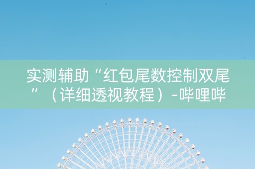实测辅助“红包尾数控制双尾”（详细透视教程）-哔哩哔哩