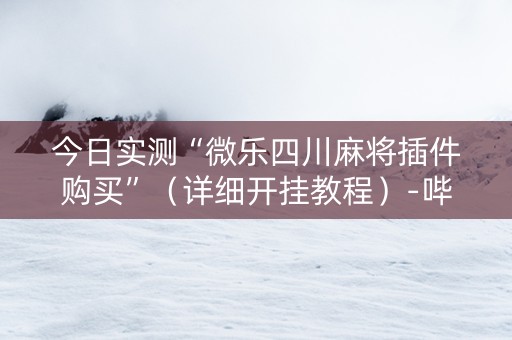 今日实测“微乐四川麻将插件购买”（详细开挂教程）-哔哩哔哩