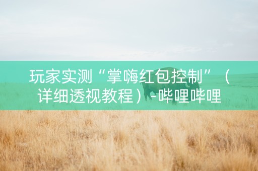 玩家实测“掌嗨红包控制”（详细透视教程）-哔哩哔哩