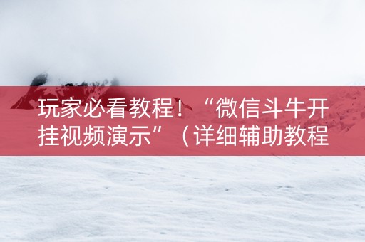 玩家必看教程！“微信斗牛开挂视频演示”（详细辅助教程）-哔哩哔哩