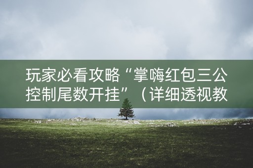 玩家必看攻略“掌嗨红包三公控制尾数开挂”（详细透视教程）-哔哩哔哩