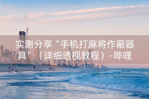 实测分享“手机打麻将作蔽器具”（详细透视教程）-哔哩哔哩