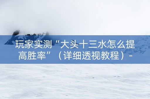 玩家实测“大头十三水怎么提高胜率”（详细透视教程）-哔哩哔哩