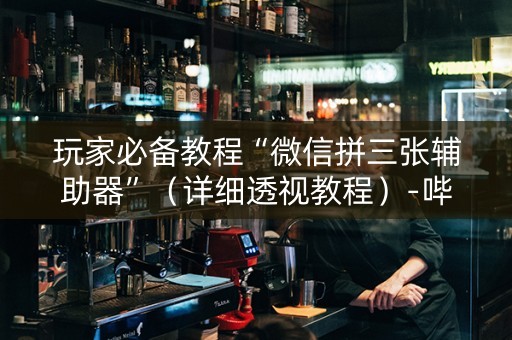 玩家必备教程“微信拼三张辅助器”（详细透视教程）-哔哩哔哩