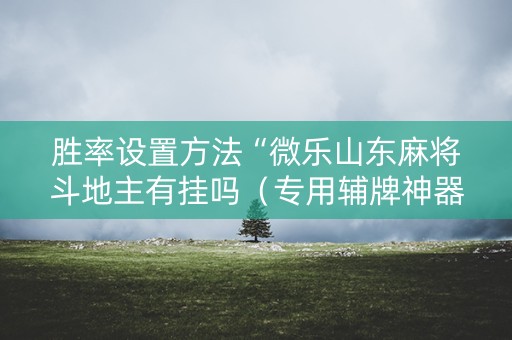 胜率设置方法“微乐山东麻将斗地主有挂吗（专用辅牌神器免安装）