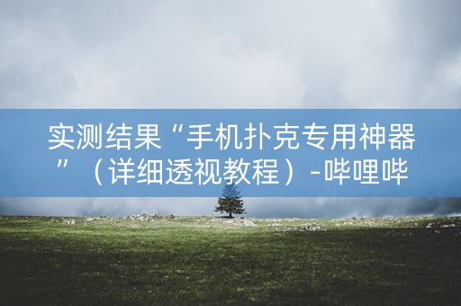 实测结果“手机扑克专用神器”（详细透视教程）-哔哩哔哩
