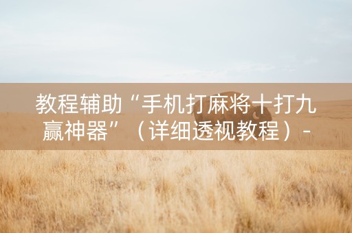 教程辅助“手机打麻将十打九赢神器”（详细透视教程）-哔哩哔哩