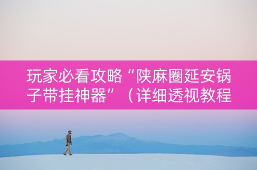 玩家必看攻略“陕麻圈延安锅子带挂神器”（详细透视教程）-哔哩哔哩