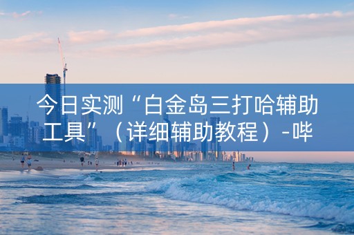 今日实测“白金岛三打哈辅助工具”（详细辅助教程）-哔哩哔哩