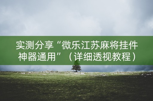 实测分享“微乐江苏麻将挂件神器通用”（详细透视教程）-哔哩哔哩