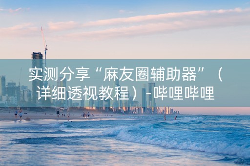 实测分享“麻友圈辅助器”（详细透视教程）-哔哩哔哩