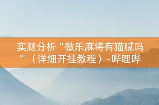 实测分析“微乐麻将有猫腻吗”（详细开挂教程）-哔哩哔哩