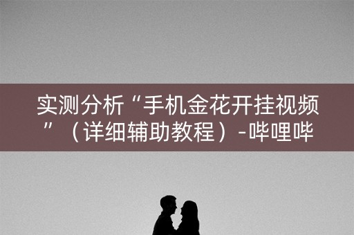 实测分析“手机金花开挂视频”（详细辅助教程）-哔哩哔哩