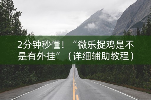2分钟秒懂！“微乐捉鸡是不是有外挂”（详细辅助教程）-哔哩哔哩