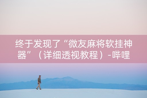 终于发现了“微友麻将软挂神器”（详细透视教程）-哔哩哔哩
