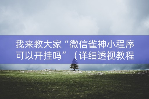 我来教大家“微信雀神小程序可以开挂吗”（详细透视教程）-哔哩哔哩
