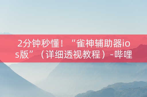 2分钟秒懂！“雀神辅助器ios版”（详细透视教程）-哔哩哔哩