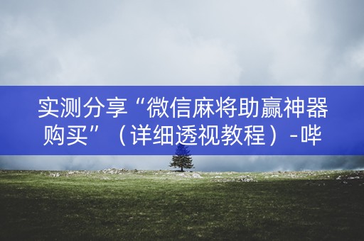 实测分享“微信麻将助赢神器购买”（详细透视教程）-哔哩哔哩